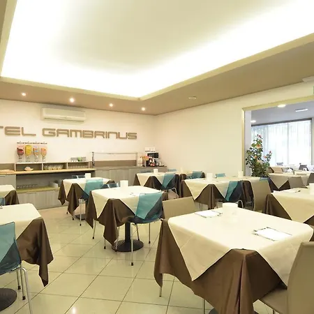 فندق Gambrinus 3*